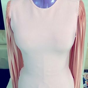 NWOT Size Large pink fitted Body dress